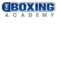 (c) Theboxingacademy.co.uk